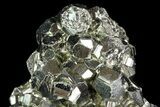 Gleaming Pyrite Crystal Cluster - Peru #71362-1